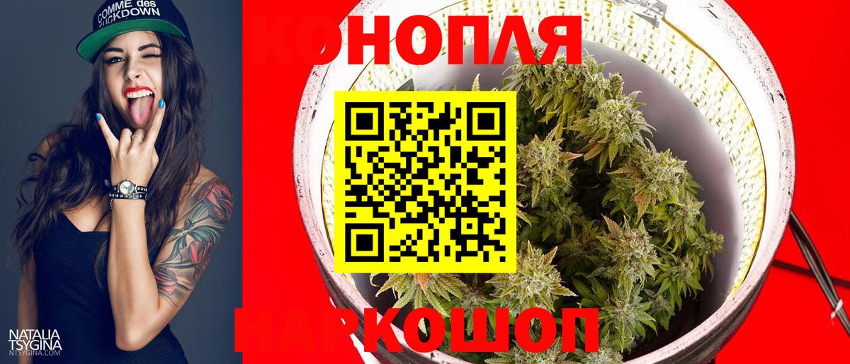 Бошки Шишки марихуана  Шишки марихуана гибрид  МАРИХУАНА планчик  Вход с VPN  Тосно 
